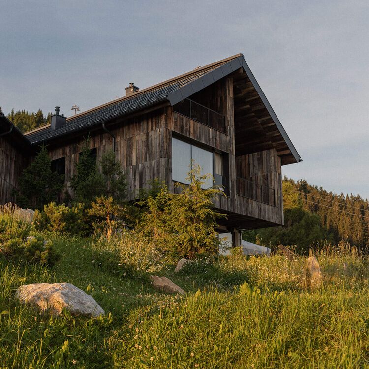 Moderne alpine Architektur mit Holzfassade, umgeben von Wiesen und Bäumen, für ein einzigartiges Gästeerlebnis.